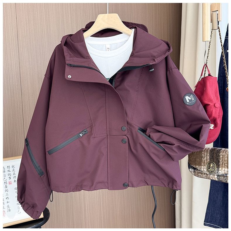 2d3ee533-2ece-4fda-a7b0-eae27a335b84.jpe