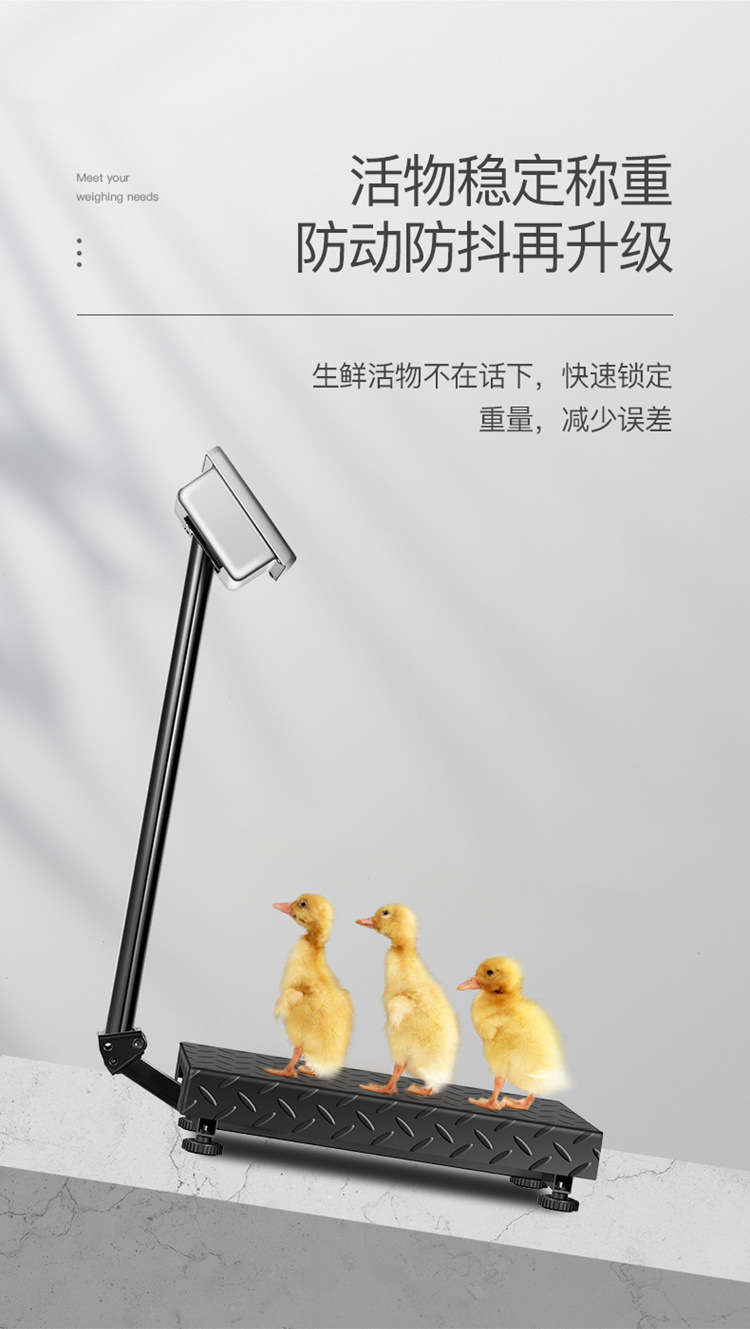 6b9af079-2a6d-4eff-a4bf-884bea32d131.jpe