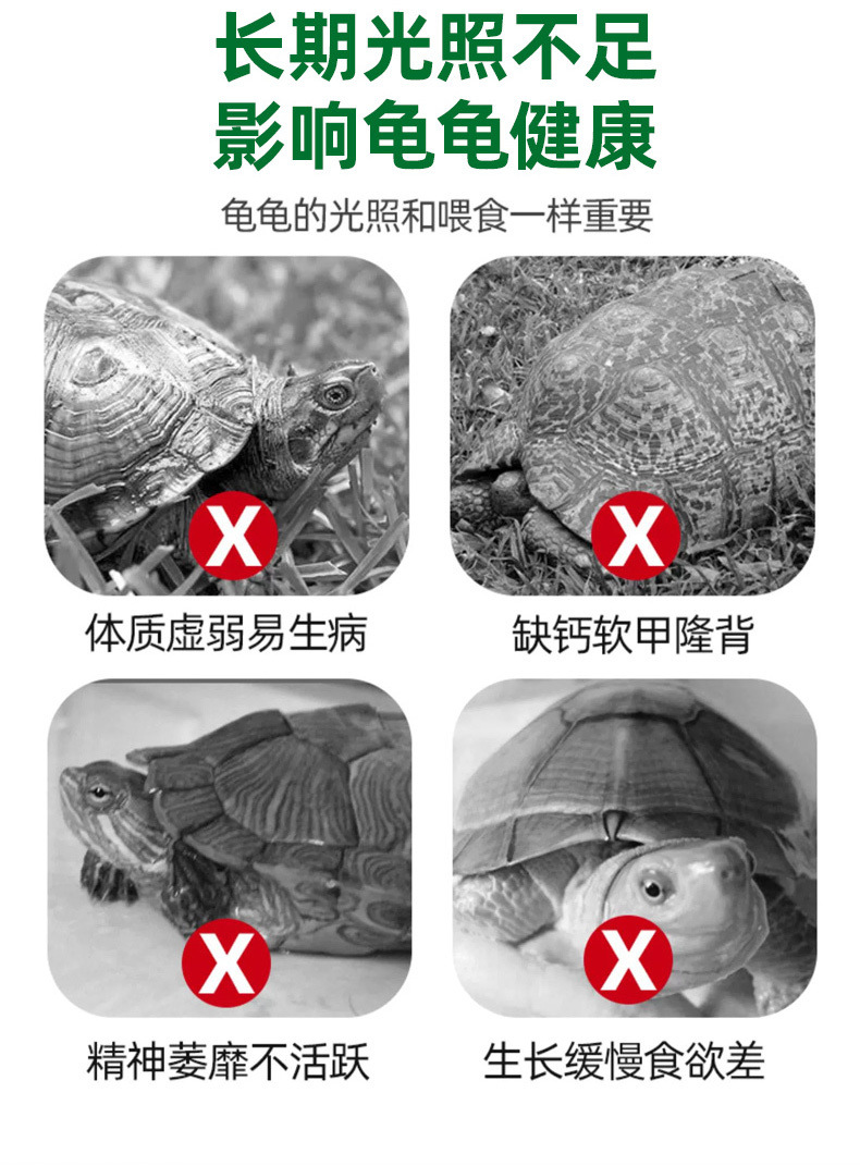 91c1a3a5-2d5a-4ee7-aa75-74d22084100c.jpe