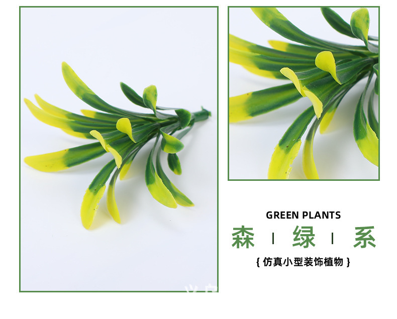 O1CN01APNwLH1QEP59apEwb_!!2220