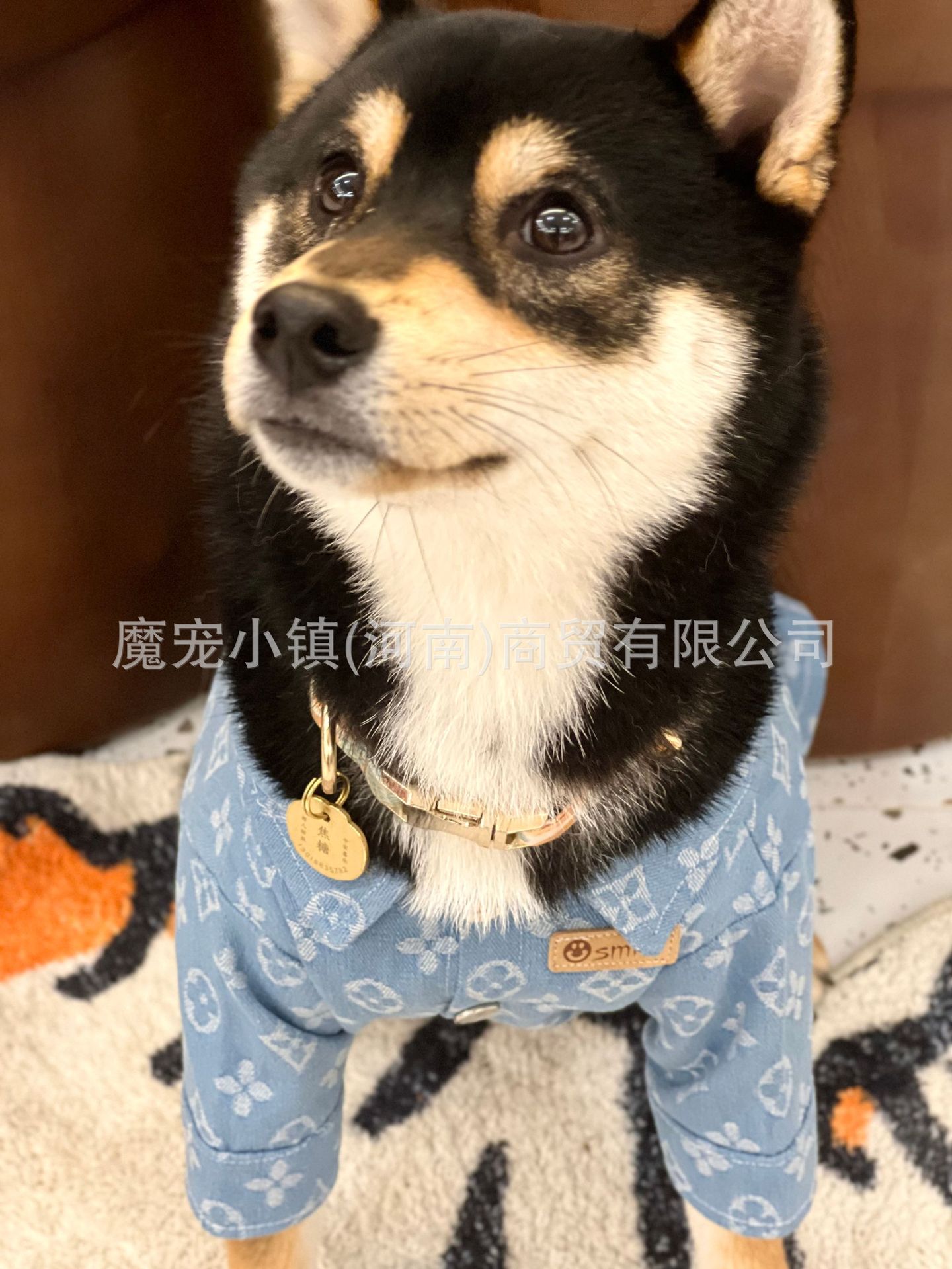 2023-03-08 210752.jpg