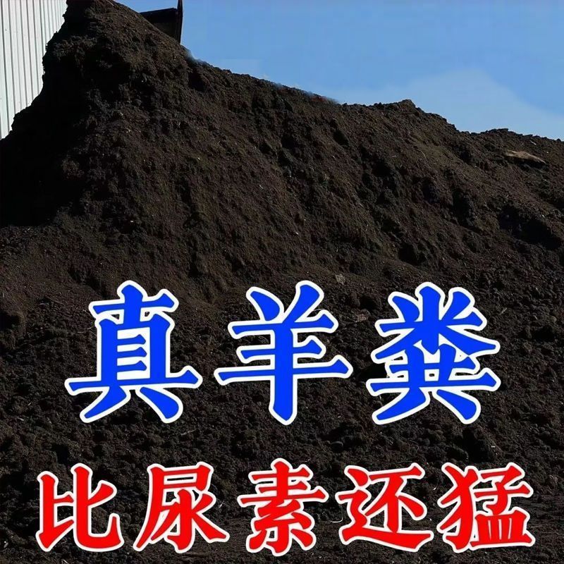 a850fbd5-ba1c-4f20-8ef1-dedb8ae0b992.jpe