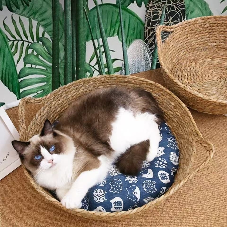 6fe654d5-2e59-4071-92d1-8c4341b4eee5.jpe