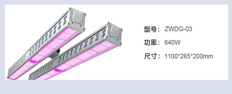 中文-常规T8-120cm_26.jpg