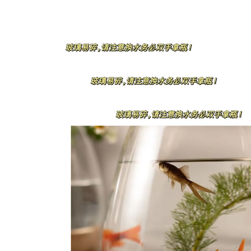 aed0b309-9ab6-4fba-90dd-b3824e7b35a2.jpe