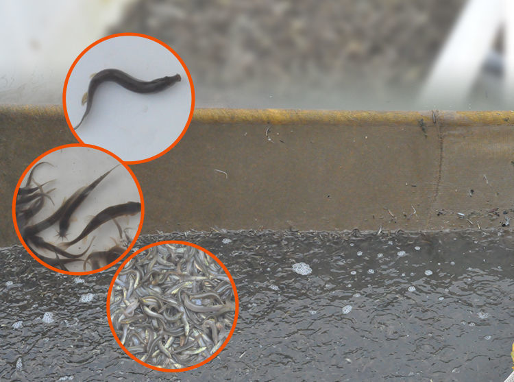 f8b14762-40a5-4bec-862e-d1c2aa8d83d1.jpe