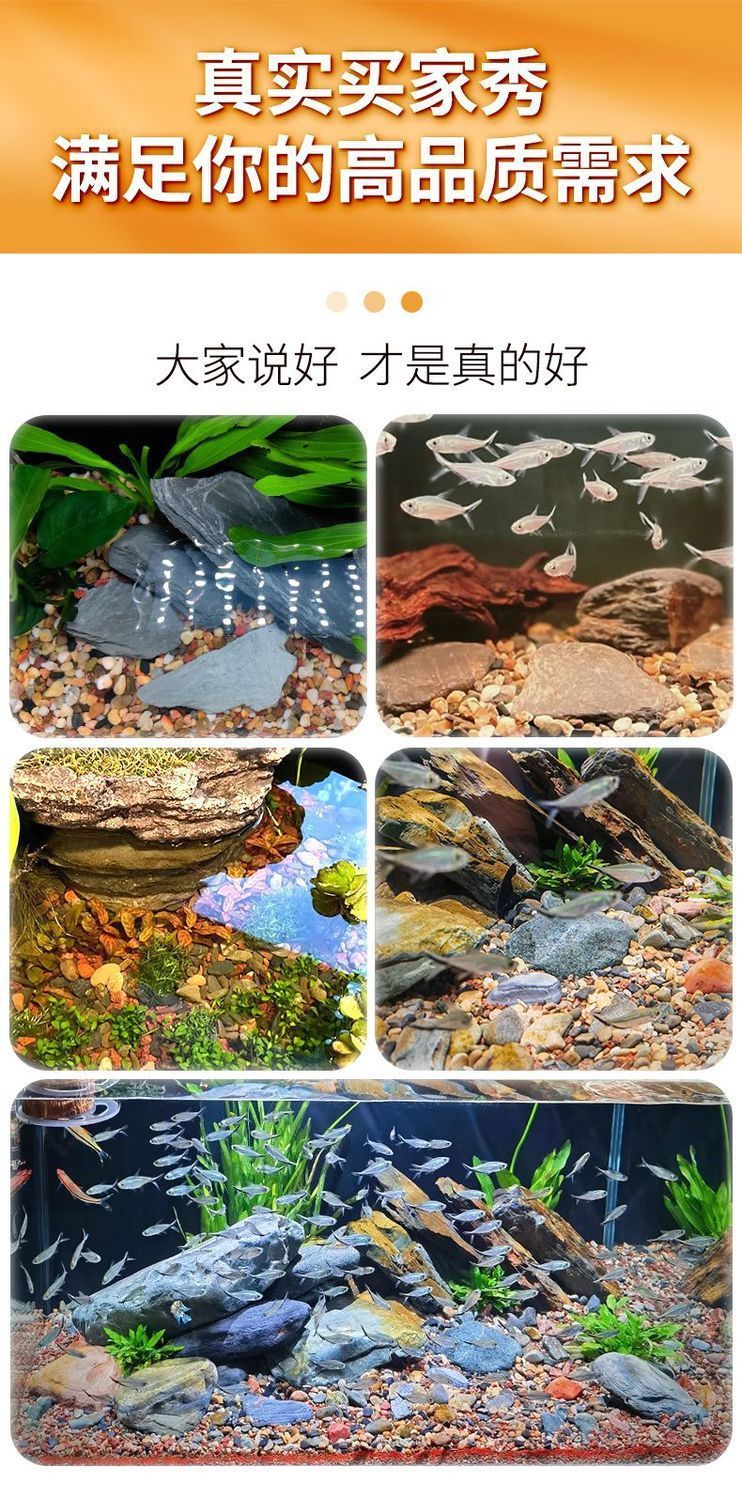 0afc6481-26b1-4a7c-a66c-bb39c0ea15b6.jpe