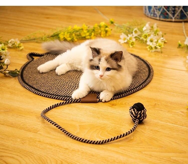 c1d9f992-1022-4aee-b123-66957fa5fac2.jpe