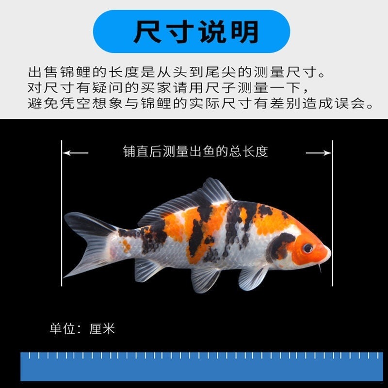cfafa676-f7b5-4f08-a8a6-1f8718970728.jpe