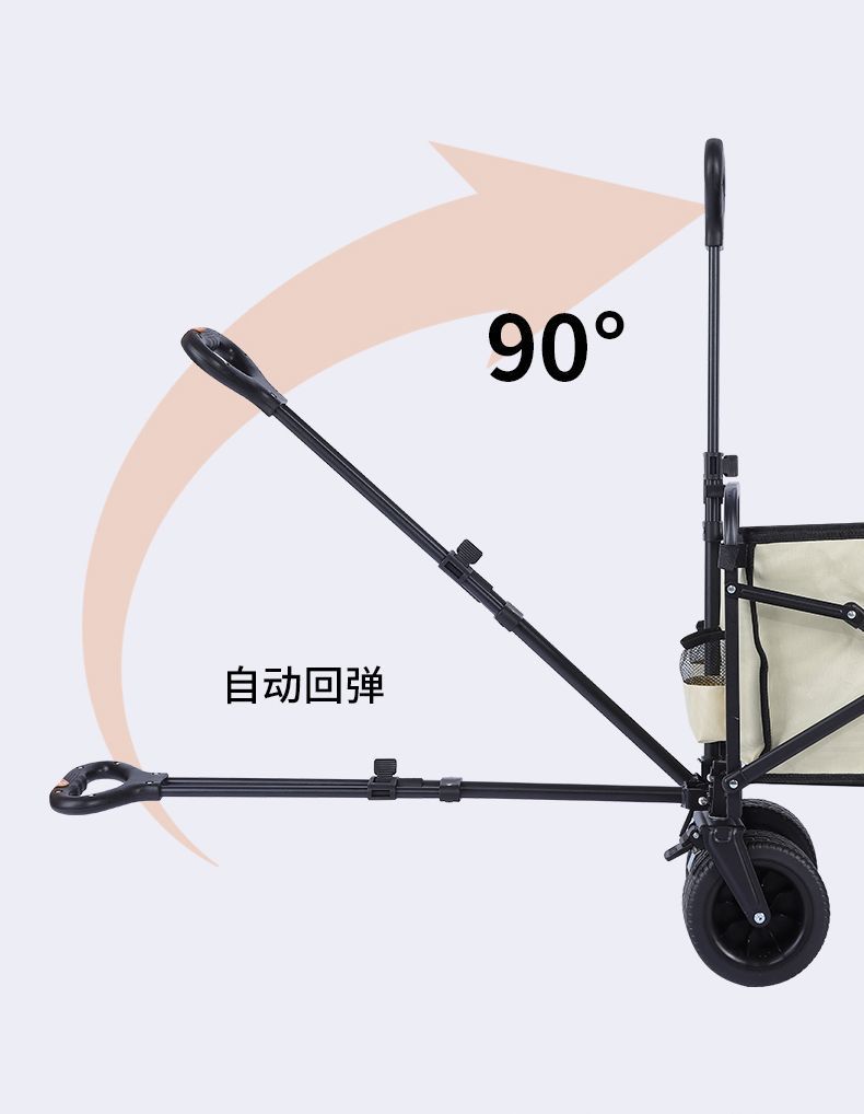 a8a88407-d4a2-4aa9-af8e-4972f208b91c.jpe