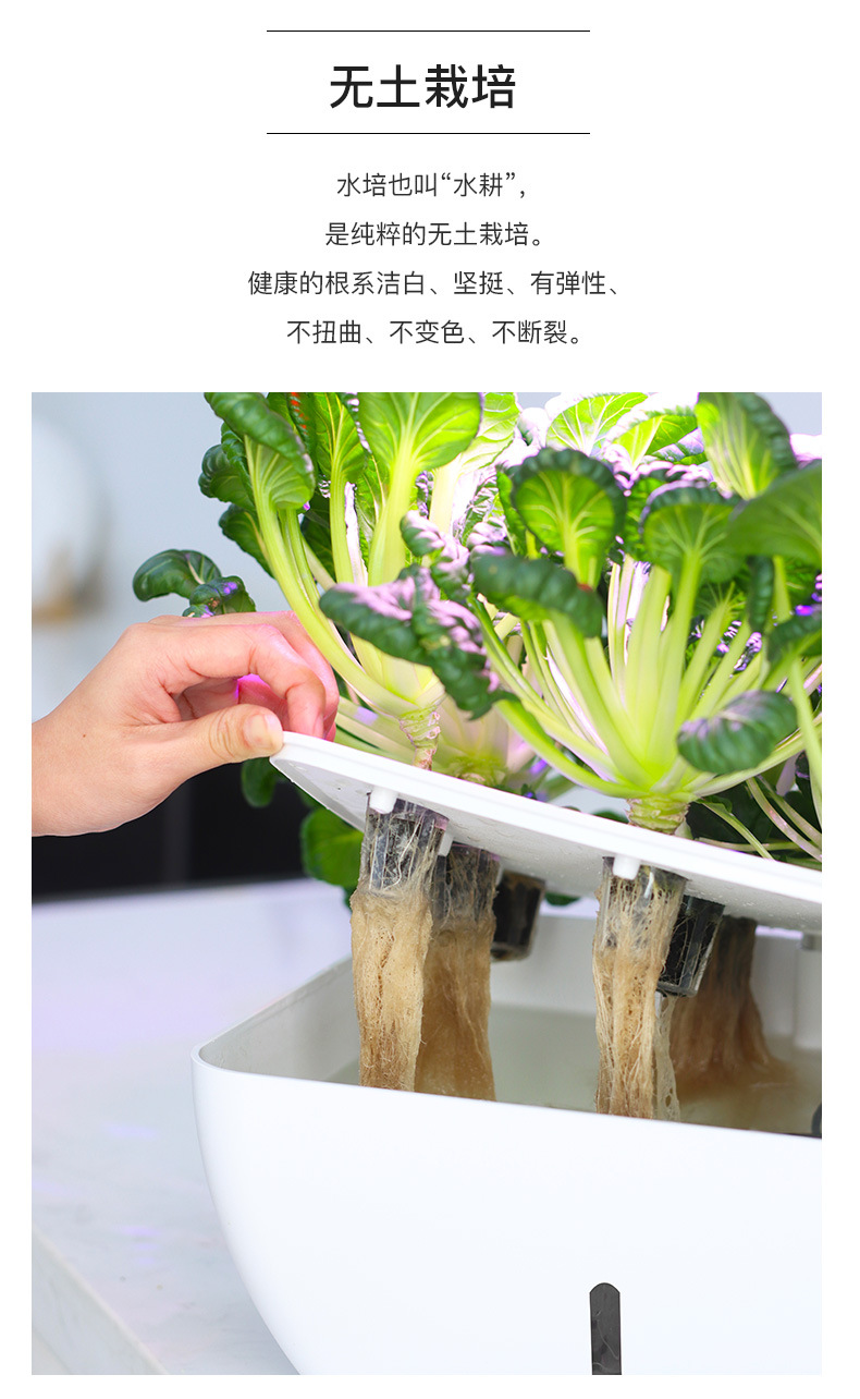 206智能种植机_05.jpg