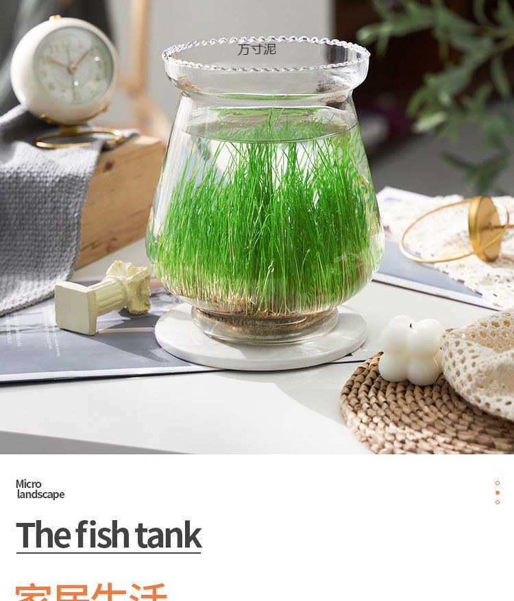 00985ca8-a7de-41f4-af1b-9b6f949d4d22.jpe