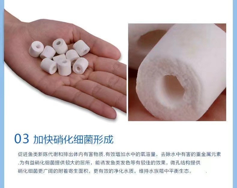 d00d9192-d891-4abc-8069-e4e6a44342b7.jpe