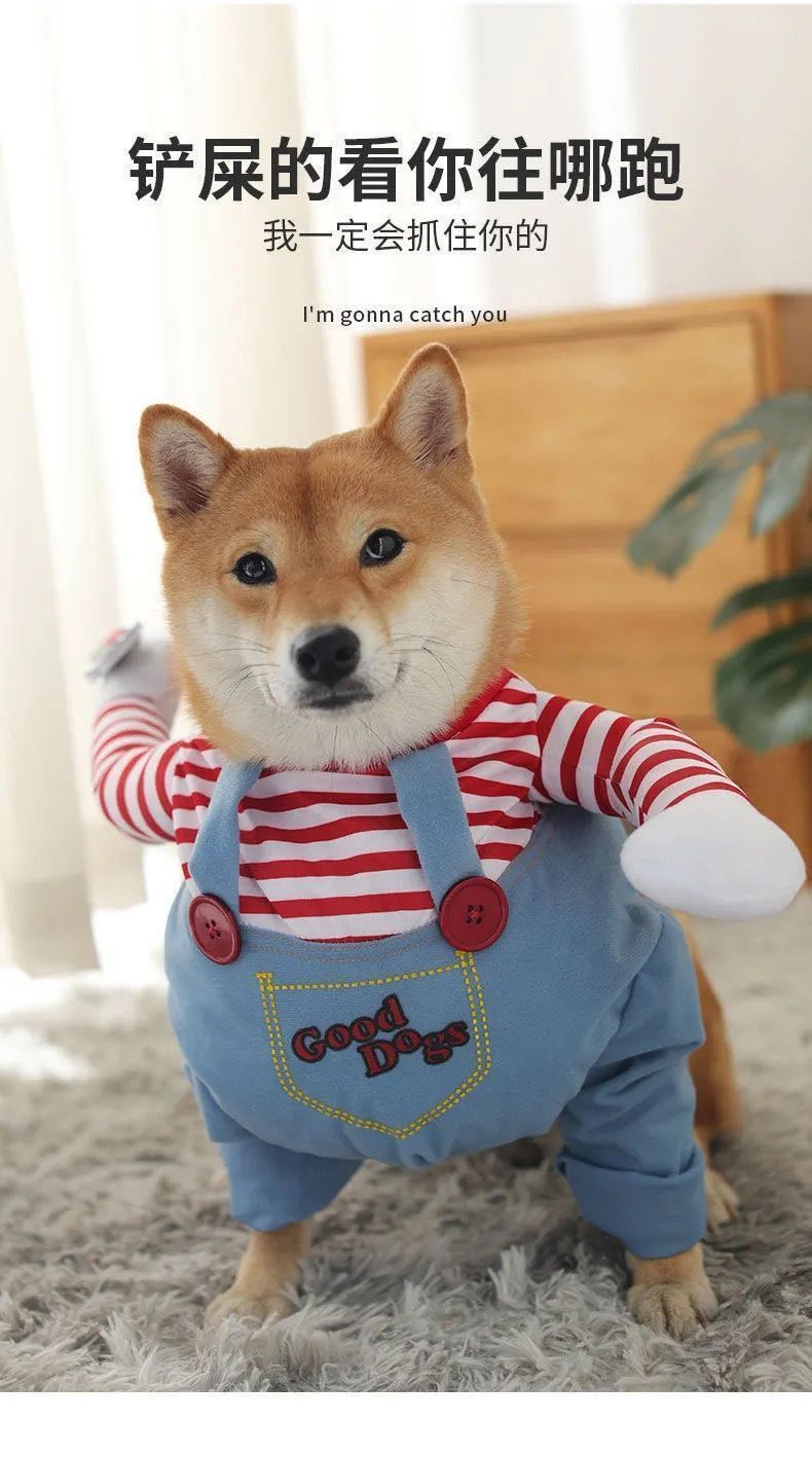 c3495856-b0a4-4a7f-abde-f8fb1eafb5d6.jpe