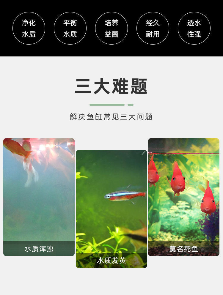 79c6bc1e-cccb-4c07-964d-74f992cf6af0.jpe