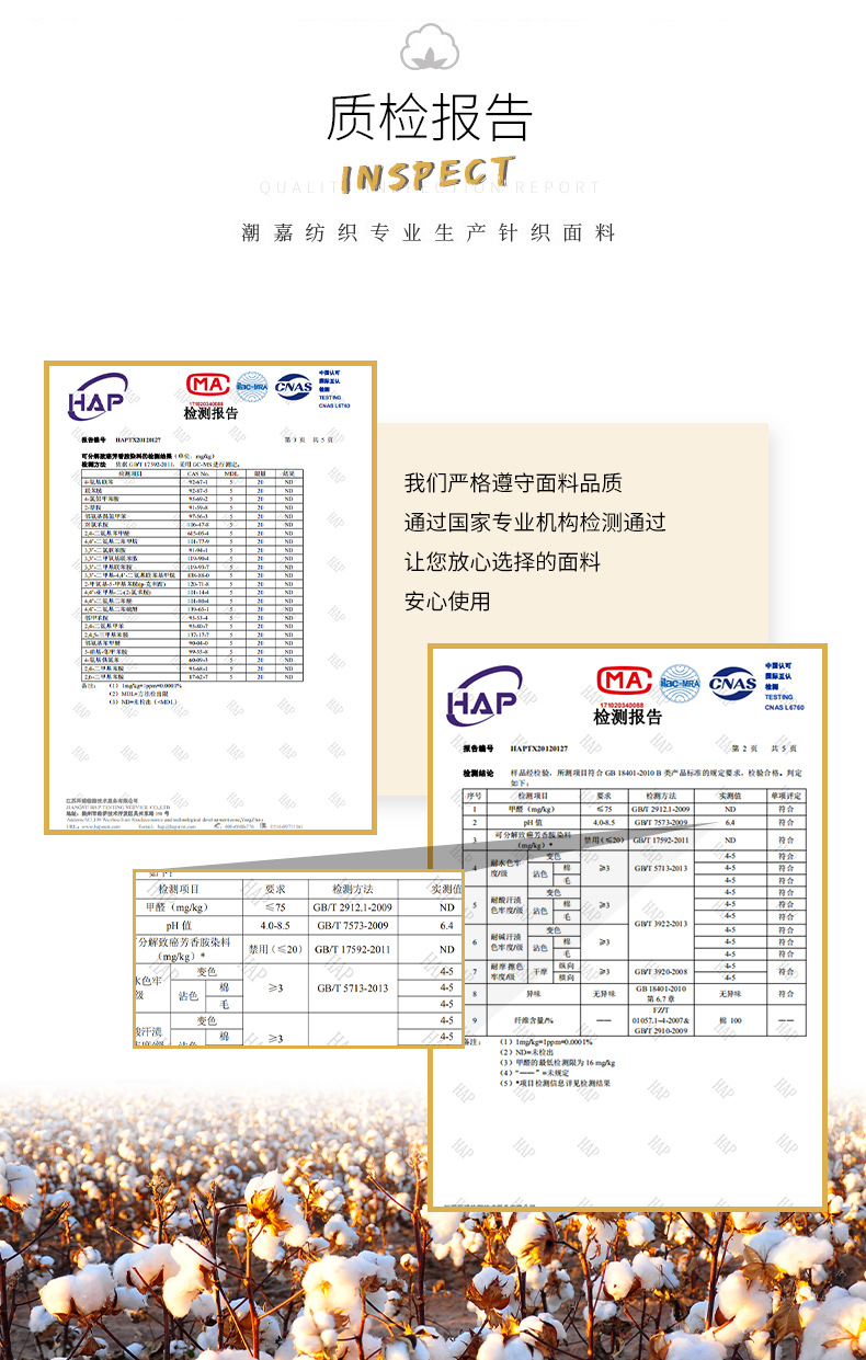 质检报告模板2
