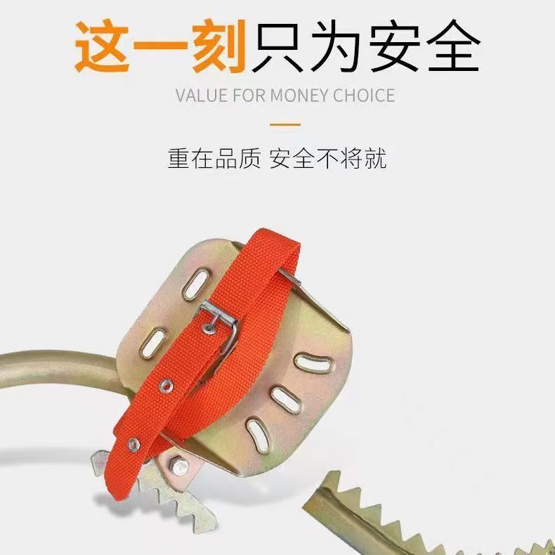 微信图片_20250421234112_149