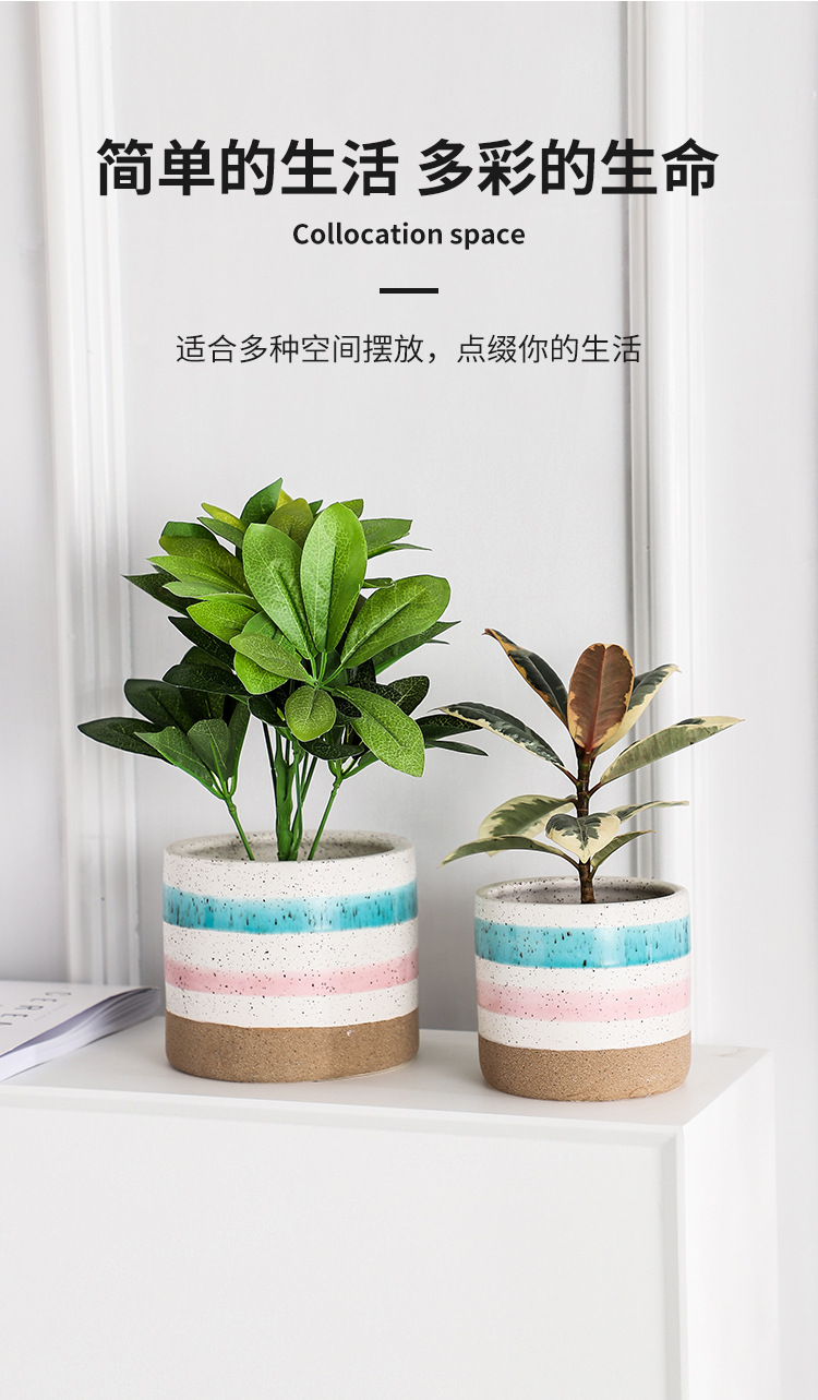 小清新彩虹花盆 3