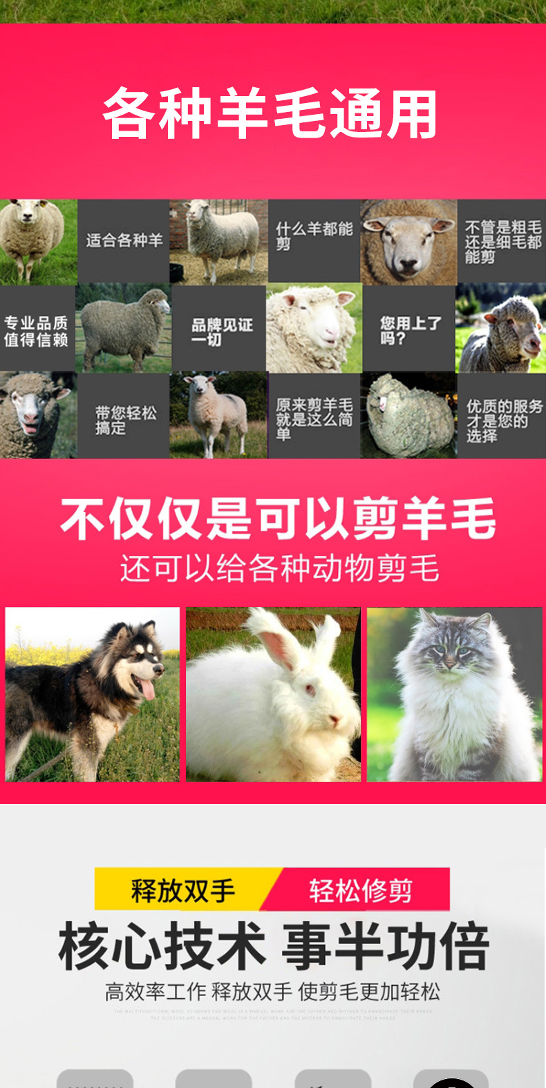 狼霸T84首次_02.jpg