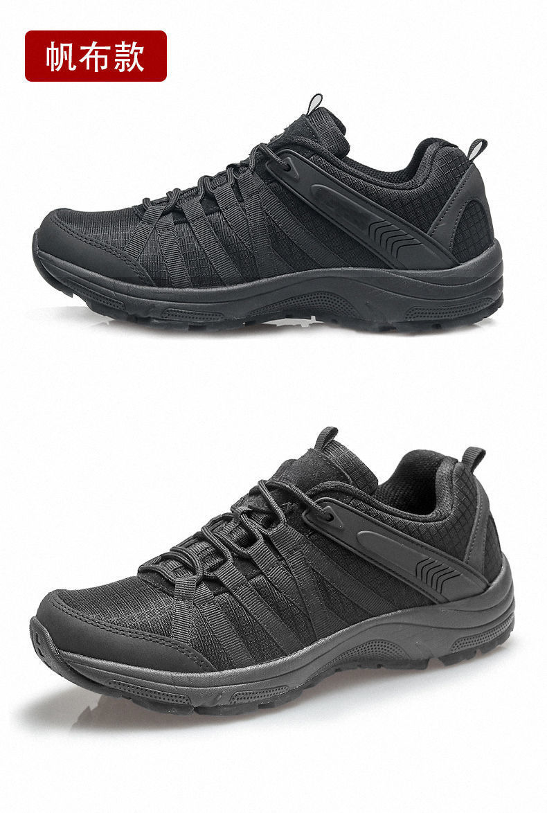 f7be6cf4-dbe3-415d-955f-38fe80974fd4.jpe