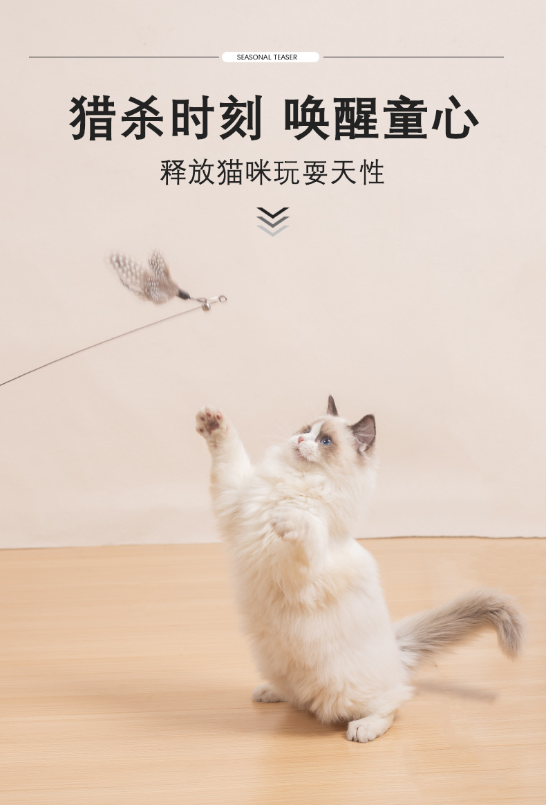 详情_04.jpg