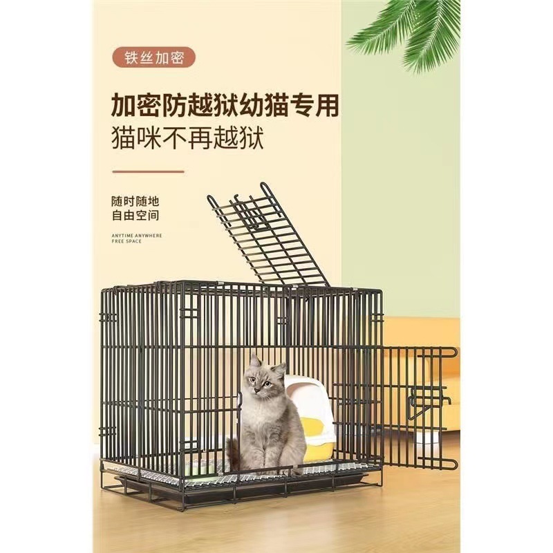 14ca8549-96a4-4cdd-8b1f-d0e50c775334.jpe