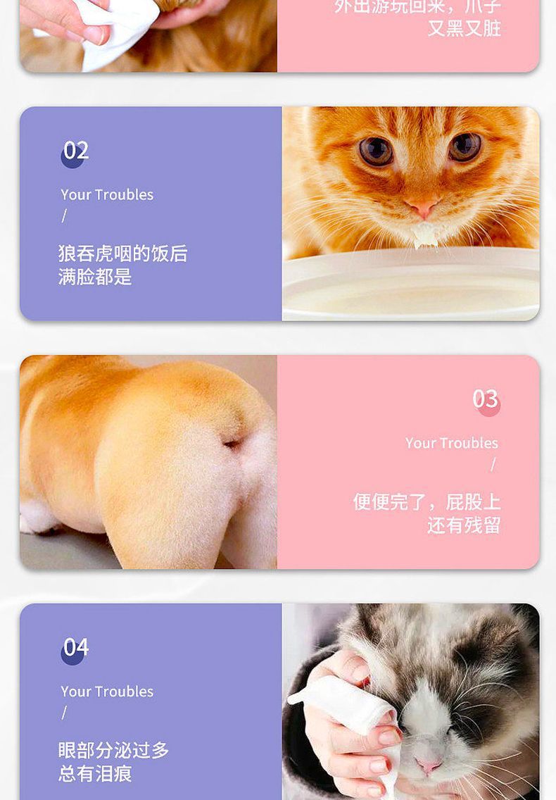 c929c530-e01a-4f0f-9ec2-d1f82d53e781.jpe