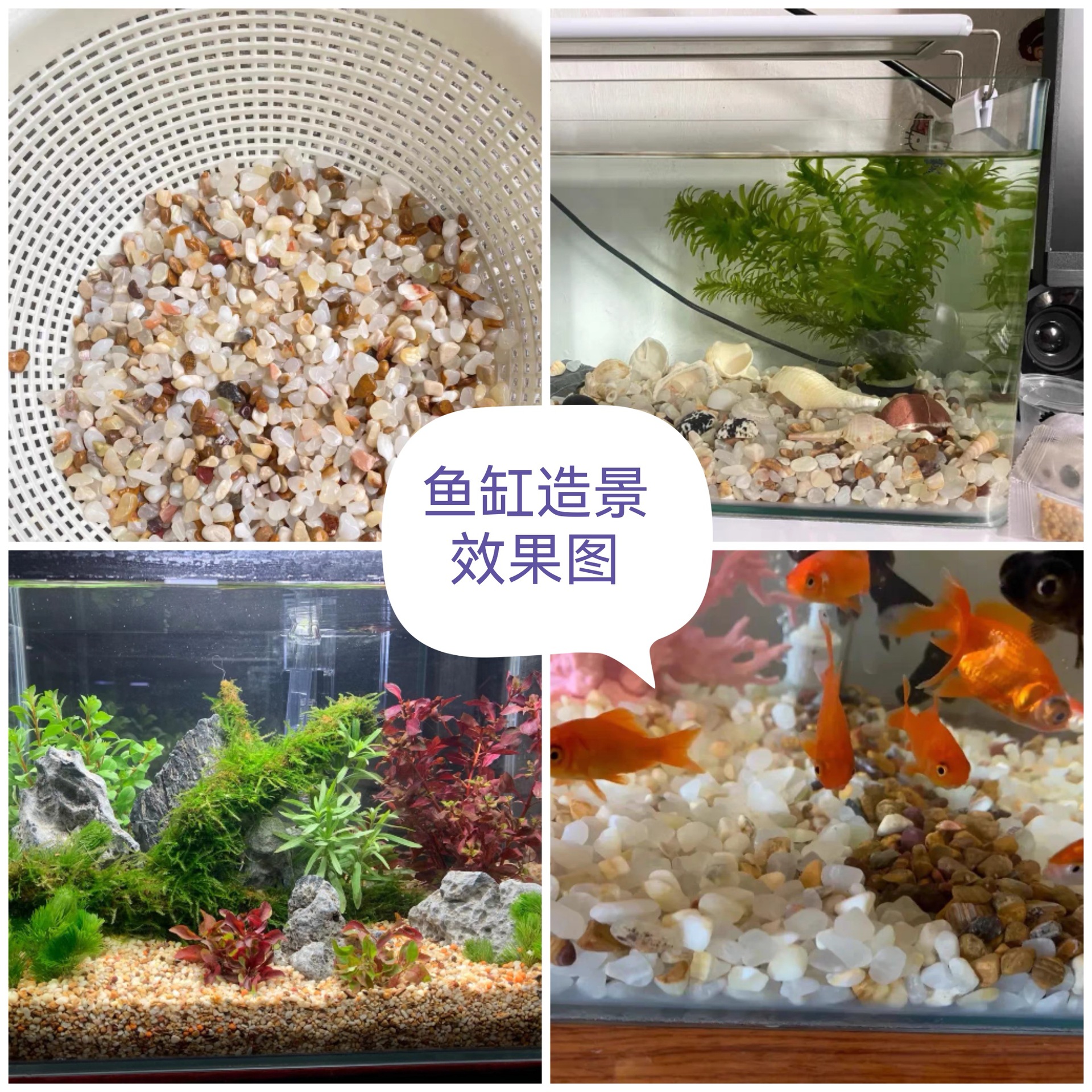 Collage_20230103_103911_edit_5