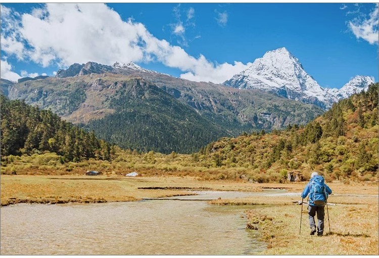 1b3620c4-b8de-4cca-b82c-067afdf753f1.jpe