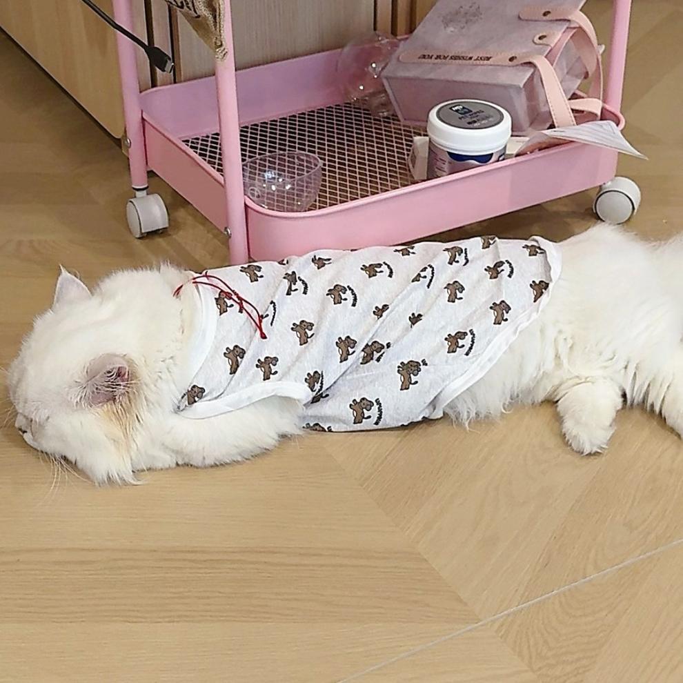 07f4007f-8686-46cf-991b-3620883ada95.jpe