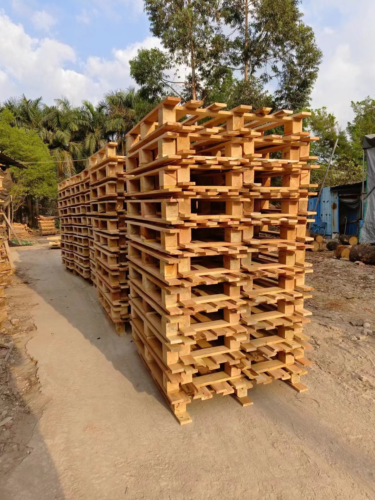 微信图片_20240116174447