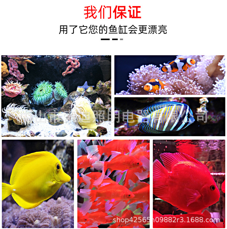T8双排广角灯详情7.jpg