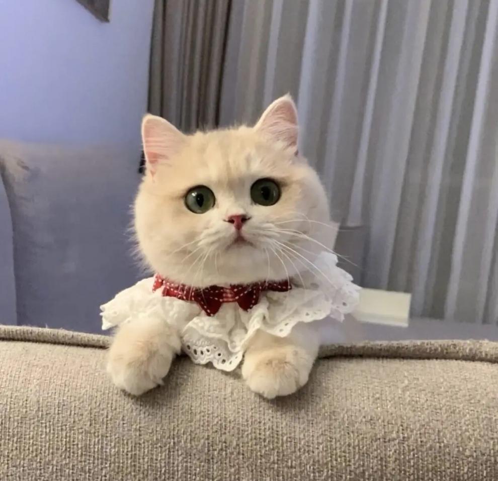 b778e22d-870d-437d-b380-478b5abcd76c.jpe