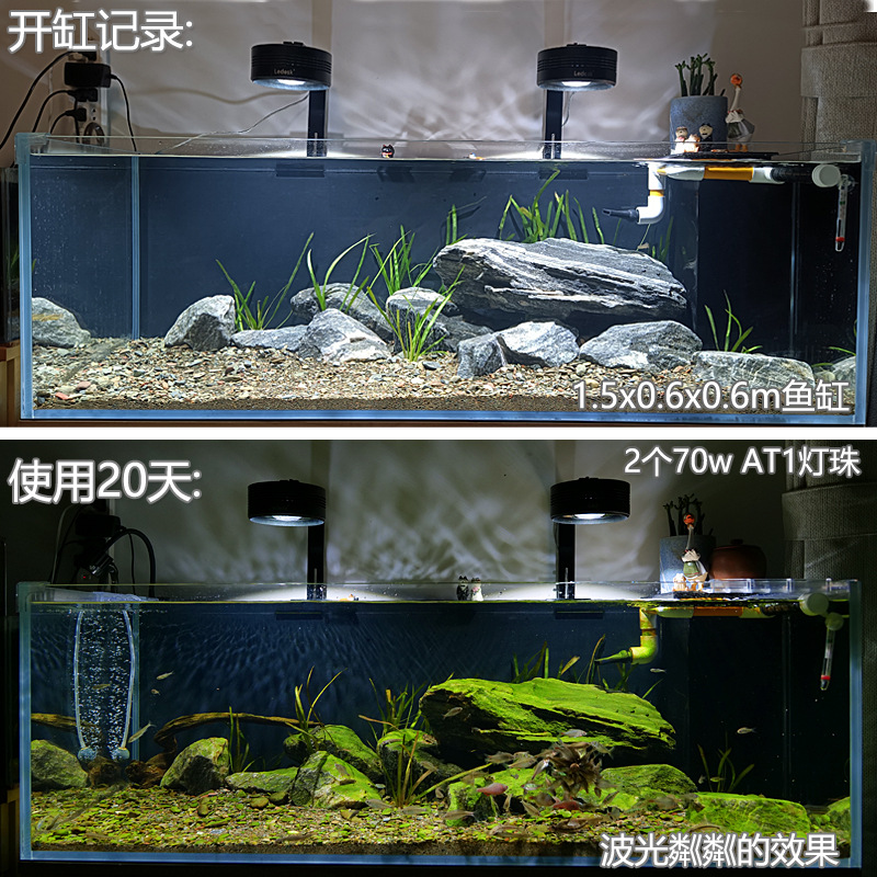 开缸记录副本.jpg