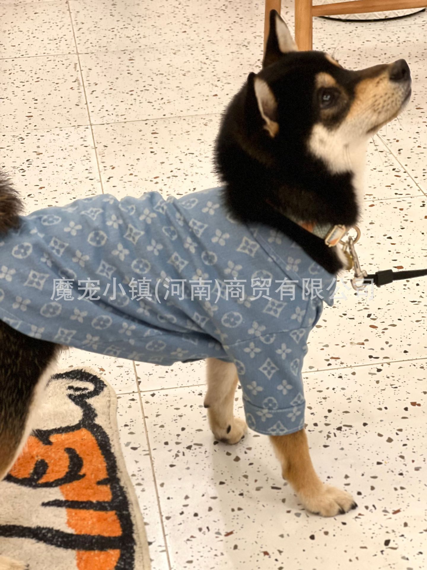 2023-03-08 210813.jpg