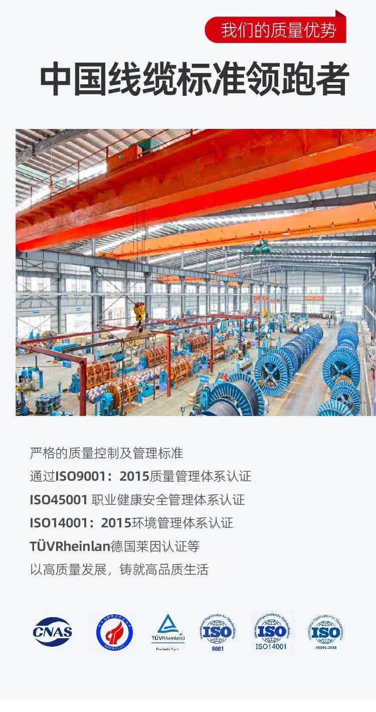 49c4102fea67f1571e493349cca196