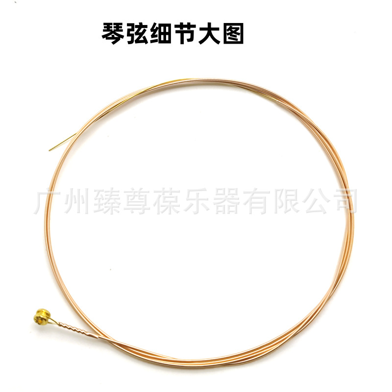 AW438-05.jpg