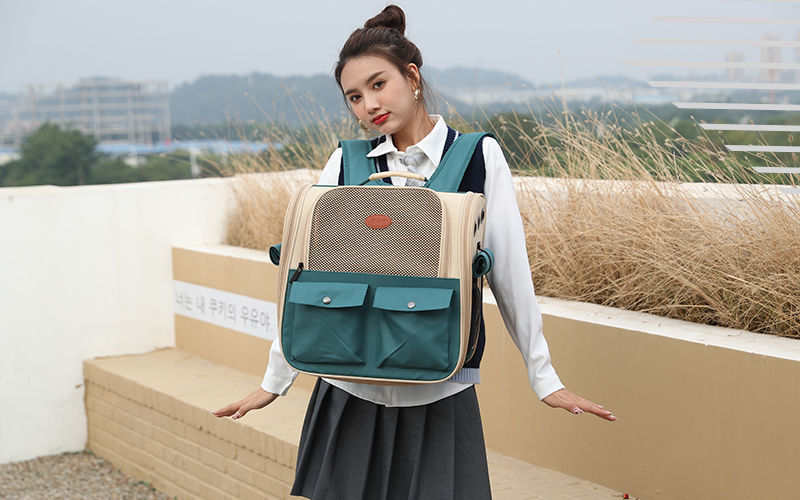 4ae026df-0d82-4f2f-a551-ac7864b8087d.jpe