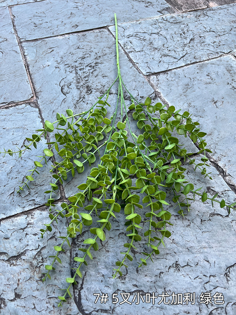7#-5叉小叶尤加利-绿色.jpg