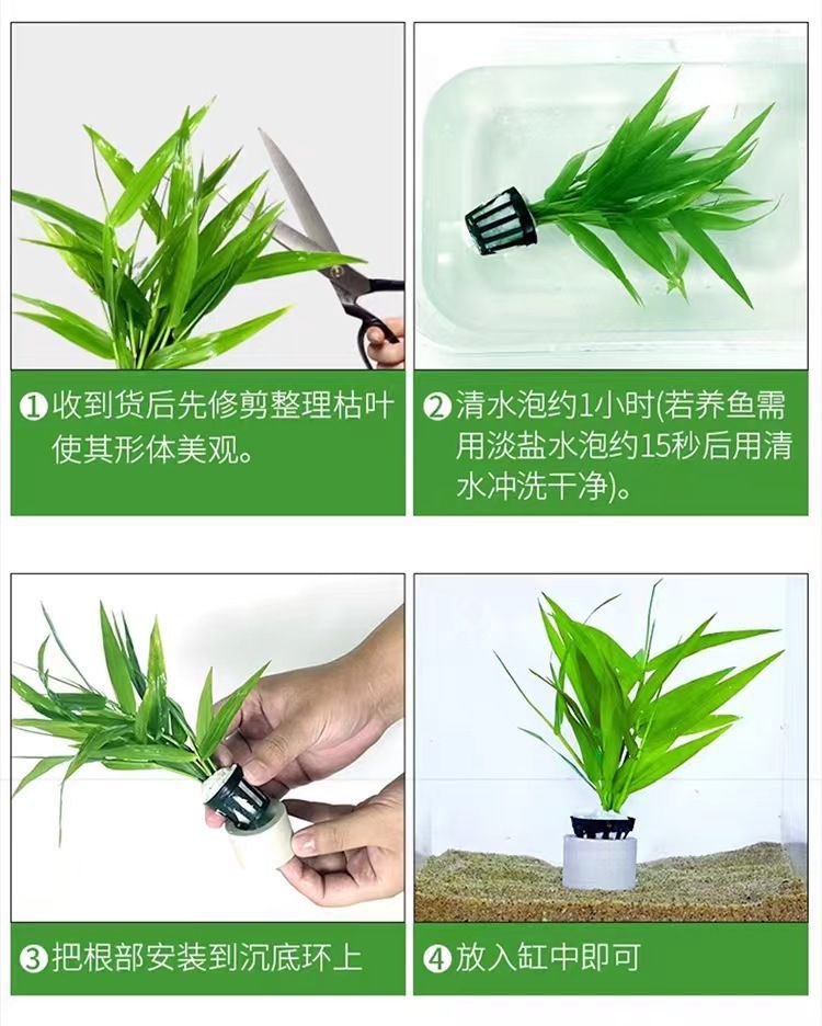 5c0c21ba-89ec-47b6-8ea1-c8b29965de6a.jpe