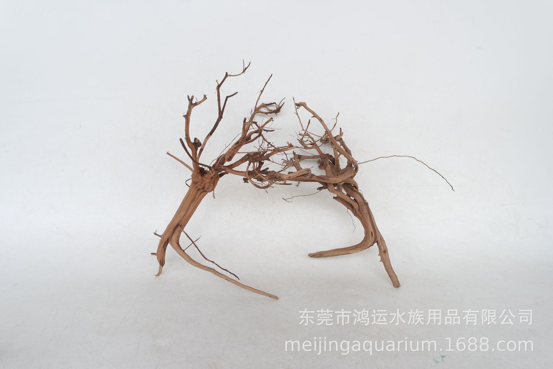 青阳树