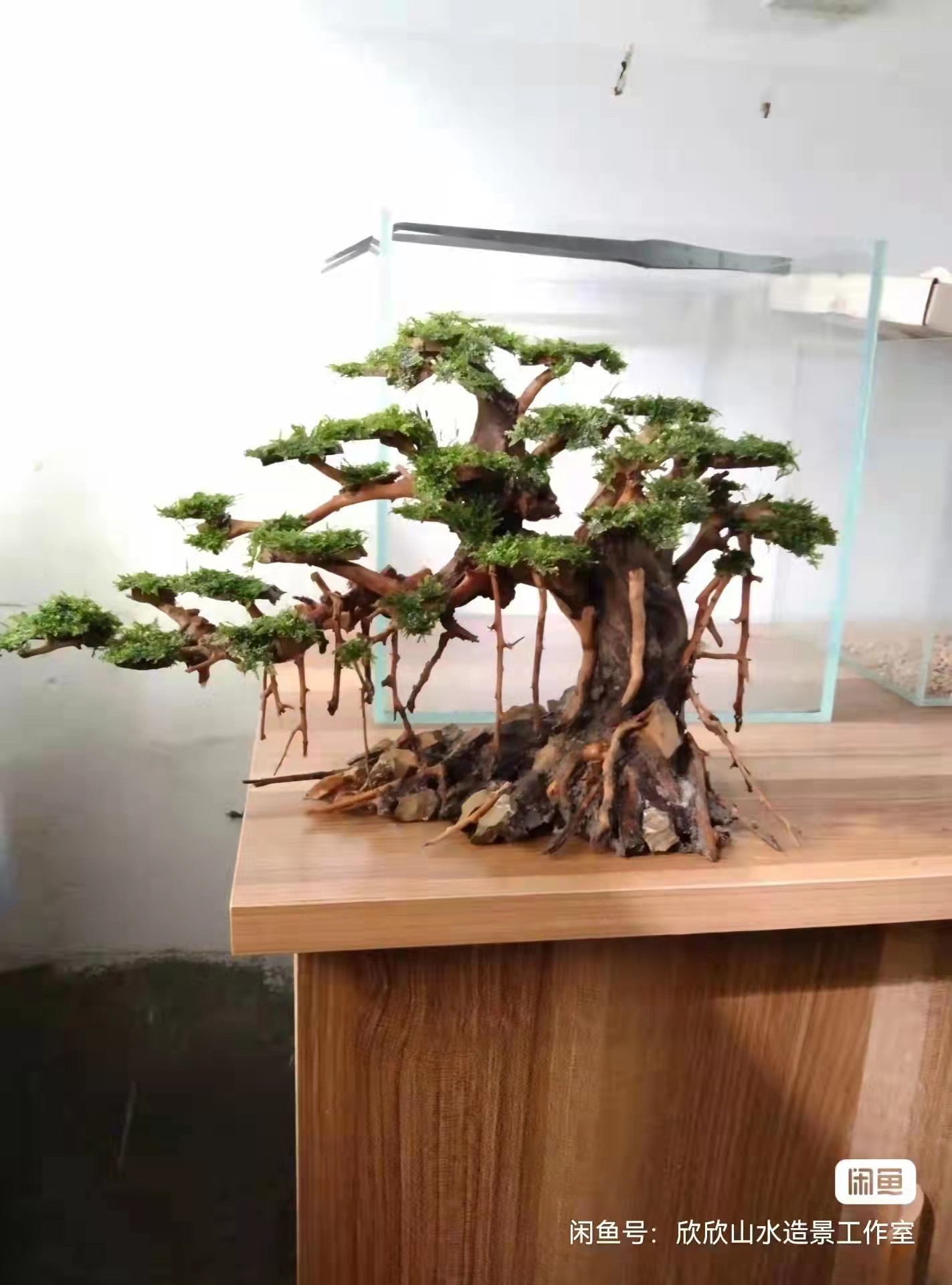 鱼缸景观沉木栖根景观缸造景全套莫斯树沉木黑壳虾斑马鱼缸景观木