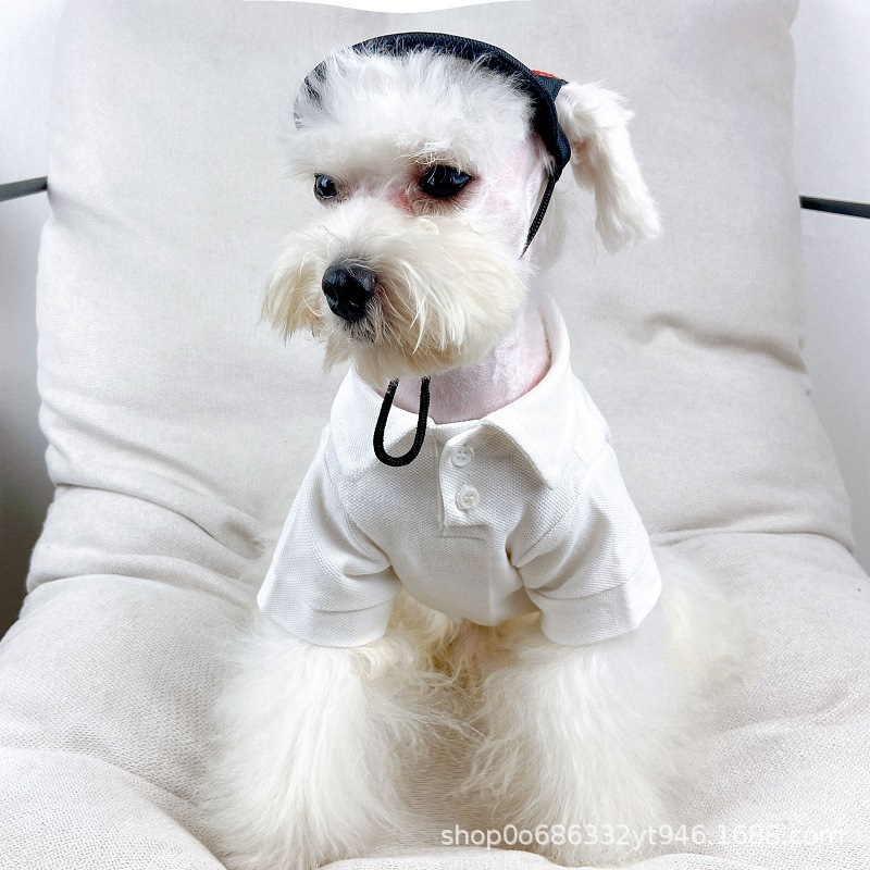 d8b25a8d42deb15f7258a5f79aa3ef