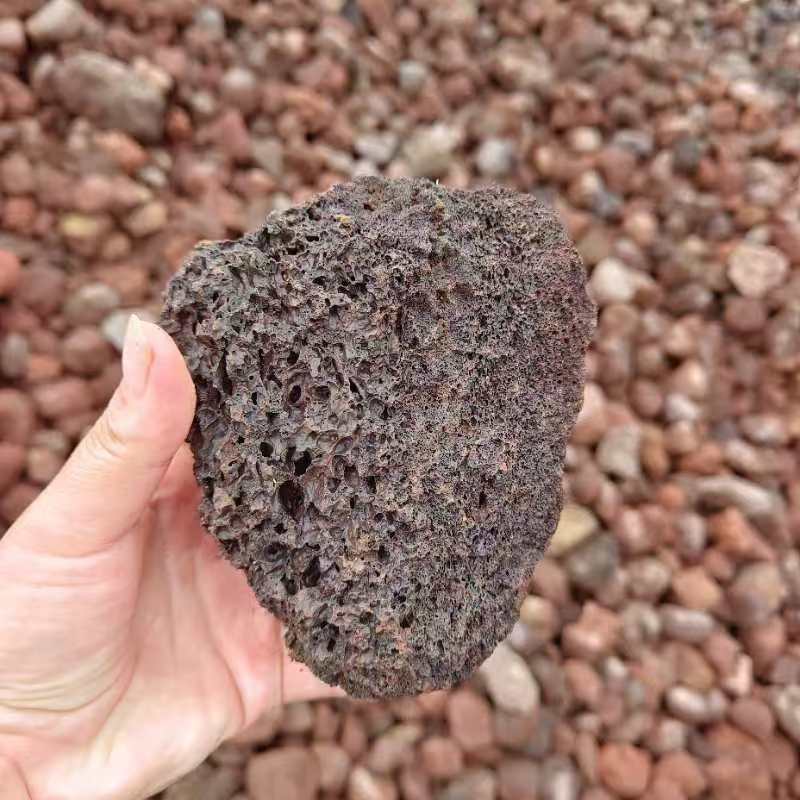 微信图片_20240827091106