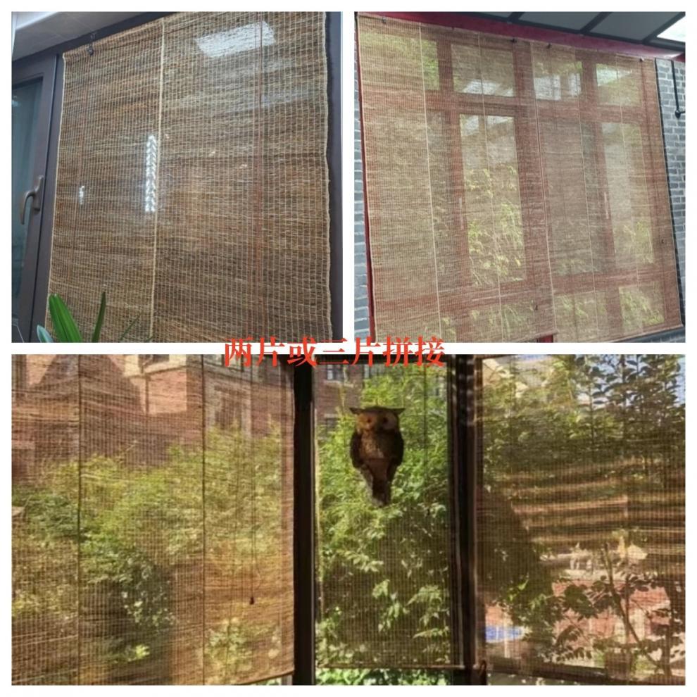 8b9890bc-842c-45ec-9ec2-0dd4d9ccba1e.jpe