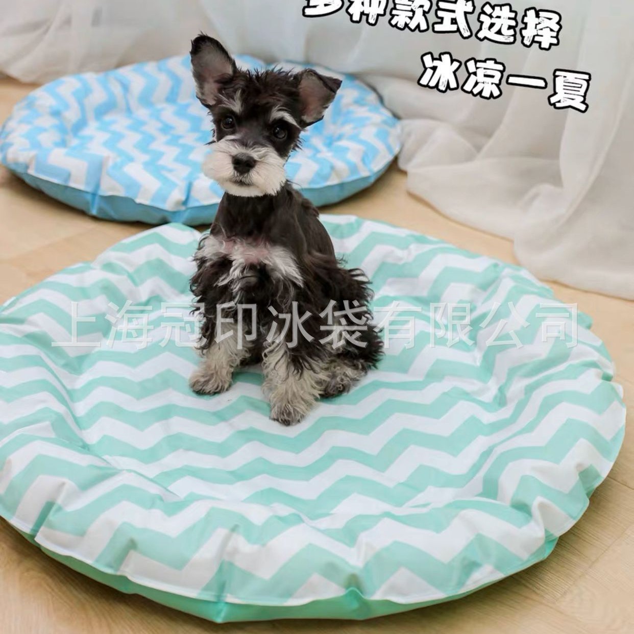 2025-03-07 13:49:02.jpg