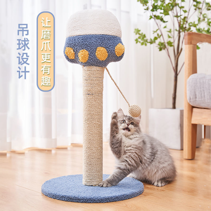 c921d25c-900a-4219-bd0b-872c5989e54a.jpe