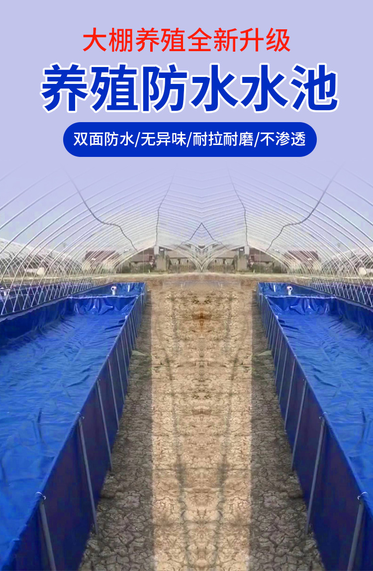 鱼池_01.jpg