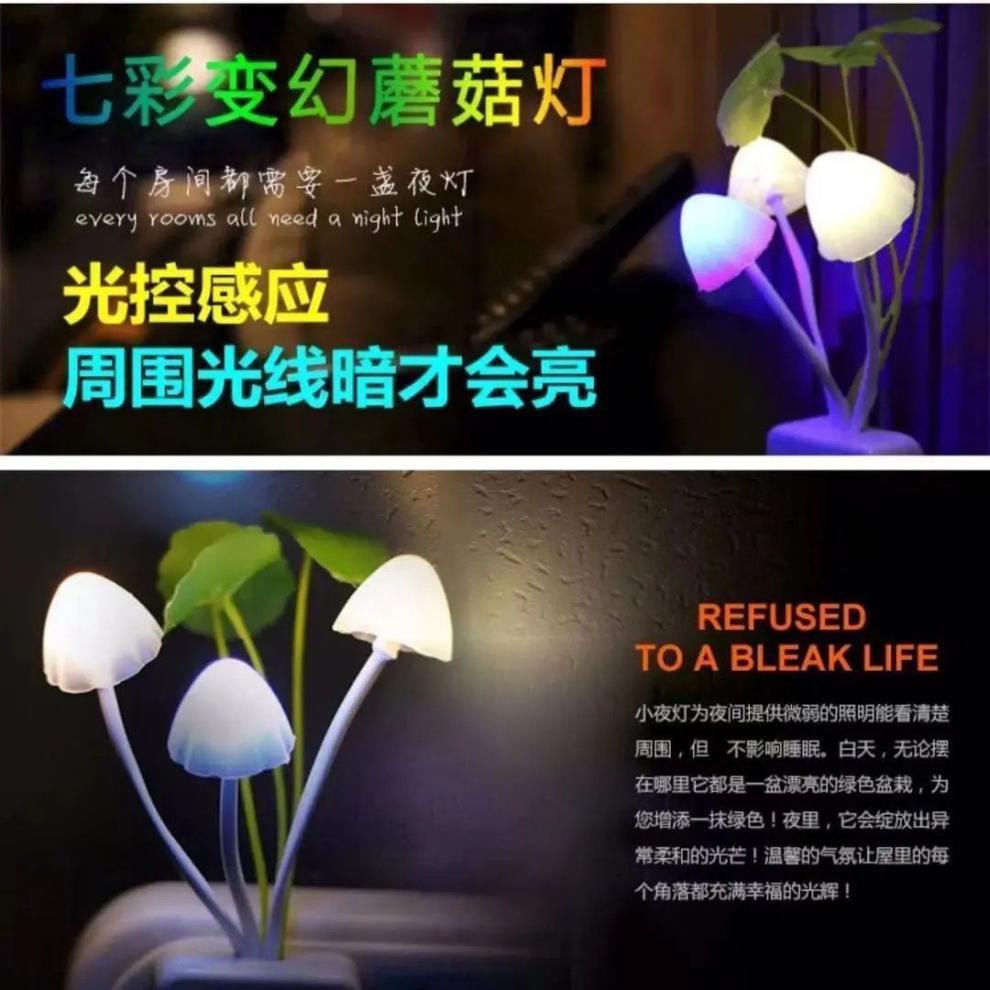 7ad853dc-33ab-4b6c-a4ee-35de445b296d.jpe