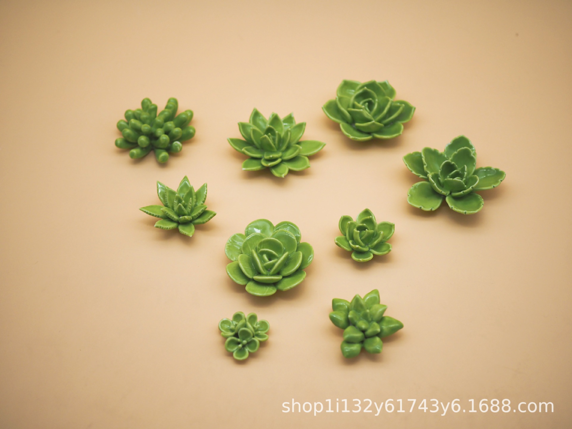 IMG_5205(20210515-000904)